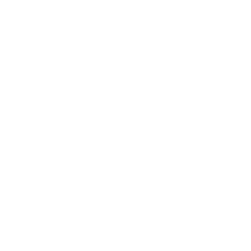 Money Bag