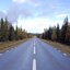 Long road